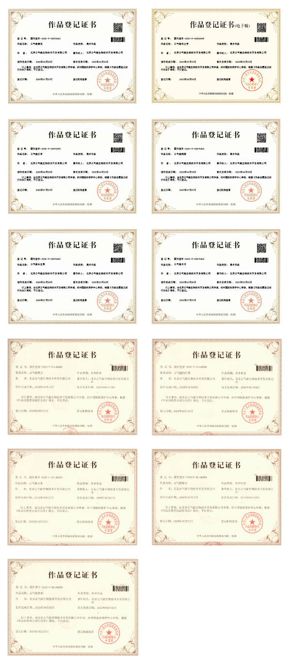 版权保护登记证书拼图_画板 1.png