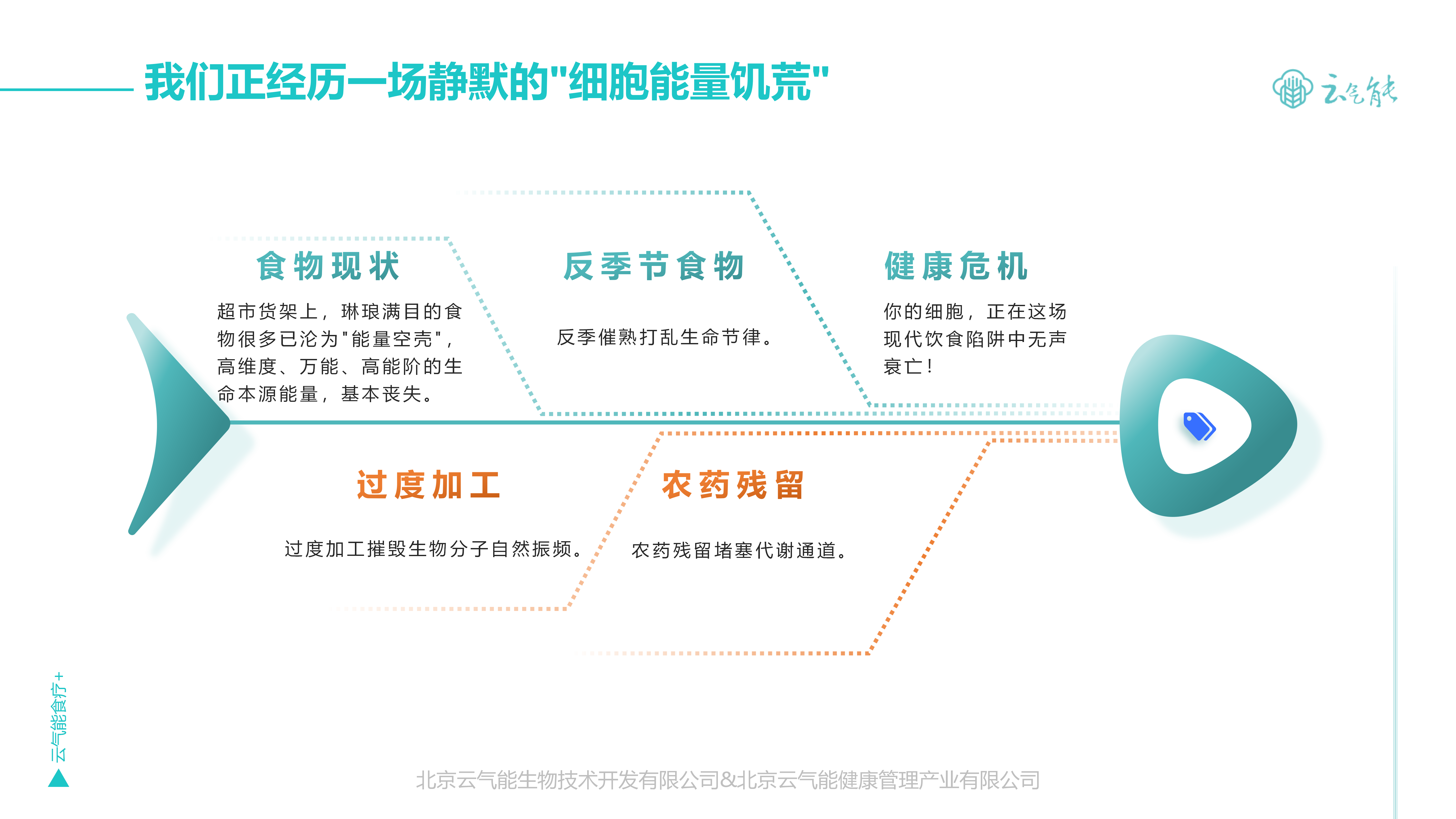 ”云气能食疗+“简介 20250308版 - 副本_03.png